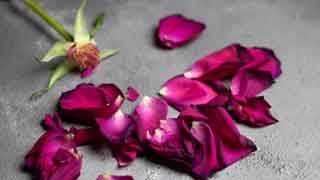 petal