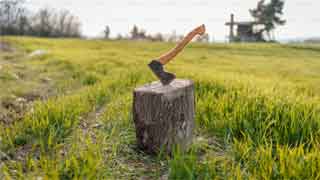 axe